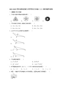 河南省安阳市飞翔中学2022-2023学年上学期八年级期中数学试卷(含答案)