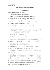 山东省烟台招远市（五四制）2022-2023学年九年级上学期期中考试数学试题(含答案)