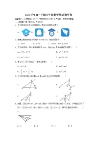 浙江省宁波市鄞州区2022-2023学年上学期八年级数学期中考试卷(含答案)