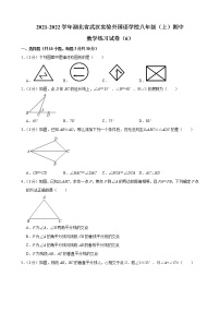 2021-2022学年湖北省武汉实验外国语学校八年级上学期期中数学练习试卷（含答案）