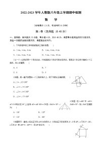 四川省内江市资中县公民中学2022-2023学年人教版八年级数学上册期中检测试卷（含答案）