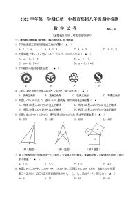 浙江省温州市乐清虹桥一中教育集团2022-2023学年八年级上学期期中检测数学试卷（含答案）