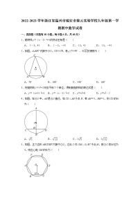 浙江省温州市瑞安市集云实验学校2022-2023学年九年级上学期期中数学试卷 （含答案）