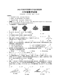 广西南宁地区2022-2023学年八年级上学期期中考试数学试题(含答案)