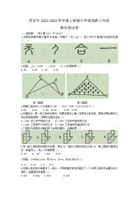 河南省三门峡市灵宝市2022-2023学年八年级上学期期中考试数学试卷(含答案)