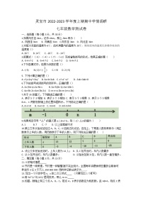 河南省三门峡市灵宝市2022-2023学年七年级上学期期中考试数学试卷(含答案)