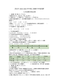 河南省三门峡市灵宝市2022-2023学年七年级上学期期中考试数学试卷(含答案)