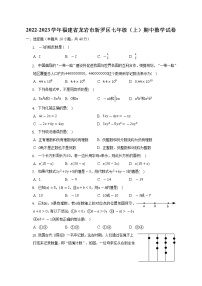 2022-2023学年福建省龙岩市新罗区七年级（上）期中数学试卷（含解析）