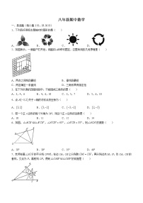 广东省中山市共进联盟2022-2023学年八年级上学期期中数学卷(含答案)