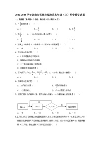 湖南省常德市临澧县2022-2023学年七年级上学期期中数学试卷(含答案)