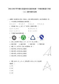 2022-2023学年浙江省温州市乐清市虹桥一中教育集团八年级（上）期中数学试卷（含解析）