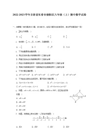 吉林省长春市朝阳区2022-2023学年上学期八年级期中考试数学试卷(含答案)