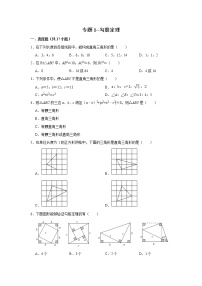 北师大数学初二上册-期末复习专题1-勾股定理