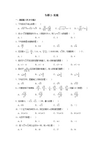 北师大数学初二上册-期末复习专题2-实数