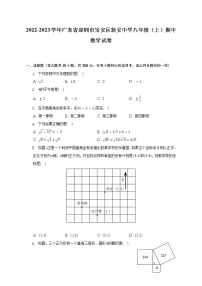 2022-2023学年广东省深圳市宝安区新安中学八年级（上）期中数学试卷（含解析）