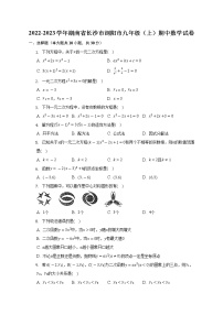 2022-2023学年湖南省长沙市浏阳市九年级（上）期中数学试卷（含解析）