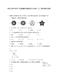 2022-2023学年广东省潮州市潮安区八年级（上）期中数学试卷（含解析）