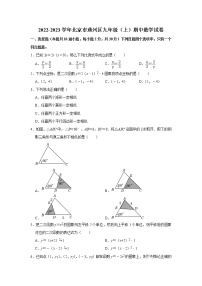 北京市通州区2022-2023学年九年级上学期期中数学试卷(含答案)