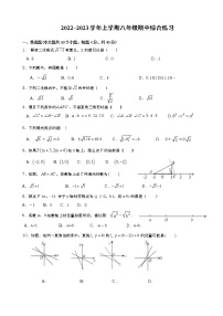 福建省三明市将乐县2022-2023学年八年级上学期期中综合练习数学试题(含答案)