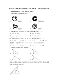 四川省绵阳市三台县2022-2023学年八年级上学期期中数学试卷(含答案)