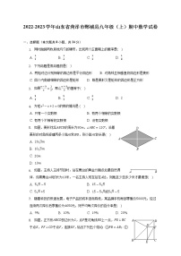 2022-2023学年山东省菏泽市鄄城县九年级（上）期中数学试卷（含解析）