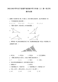 2022-2023学年辽宁省葫芦岛实验中学八年级（上）第一次月考数学试卷（含解析）