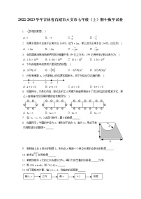 2022-2023学年吉林省白城市大安市七年级（上）期中数学试卷（含答案解析）