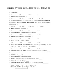 2022-2023学年江苏省盐城市大丰区七年级（上）期中数学试卷（含答案解析）