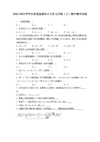 2022-2023学年江苏省盐城市大丰区七年级(上)期中数学试卷(含答案解析)
