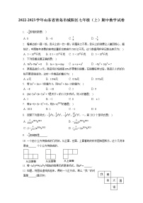 2022-2023学年山东省青岛市城阳区七年级（上）期中数学试卷（含答案解析）