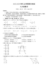 福建省漳州市正兴学校2022-2023学年九年级上学期期中数学试卷（含答案）