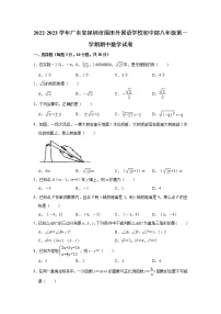 广东省深圳市福田外国语学校初中部2022-2023学年八年级上学期期中数学试卷(含答案)