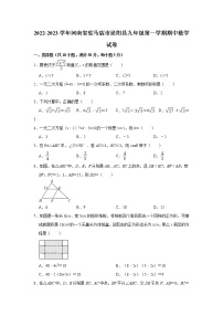 河南省驻马店市泌阳县2022-2023学年九年级上学期期中数学试卷(含答案)