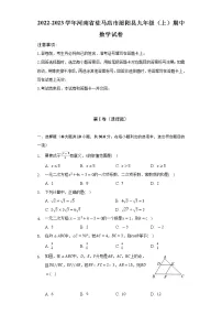 2022-2023学年河南省驻马店市泌阳县九年级（上）期中数学试卷（含解析）