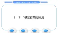 北师大版八年级上册3 勾股定理的应用习题课件ppt