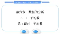 北师大版八年级上册1 平均数习题课件ppt