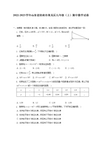 2022-2023学年山东省济南市莱芜区九年级（上）期中数学试卷（含解析）