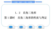 2020-2021学年2 直角三角形习题课件ppt