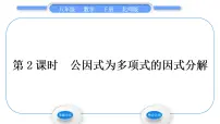 北师大版八年级下册2 提公因式法习题课件ppt