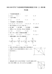 2022-2023学年广东省深圳市翠园教育集团八年级（上）期中数学试卷（含答案解析）