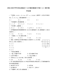 2022-2023学年河北省保定十七中教育集团八年级（上）期中数学试卷（含答案解析）