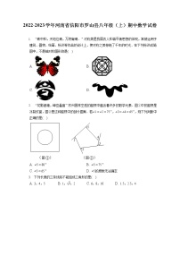 2022-2023学年河南省信阳市罗山县八年级（上）期中数学试卷（含答案解析）