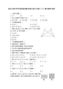 2022-2023学年河南省南阳市淅川县八年级（上）期中数学试卷（含答案解析）