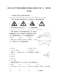 2022-2023学年湖北省襄阳市谷城县石花镇八年级（上）期中数学试卷（含答案解析）