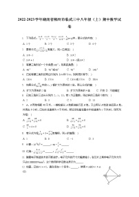 2022-2023学年湖南省郴州市临武三中八年级（上）期中数学试卷（含答案解析）