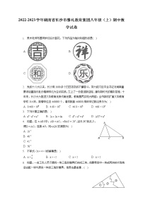 2022-2023学年湖南省长沙市雅礼教育集团八年级（上）期中数学试卷（含答案解析）