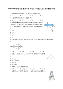 2022-2023学年吉林省四平市双辽市八年级（上）期中数学试卷（含答案解析）