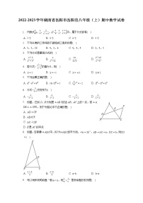 2022-2023学年湖南省岳阳市岳阳县八年级（上）期中数学试卷（含答案解析）