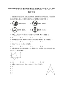 2022-2023学年山东省滨州市博兴县教育集团八年级（上）期中数学试卷（含答案解析）