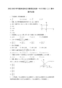 2022-2023学年陕西省西安市雁塔区高新一中八年级（上）期中数学试卷（含答案解析）